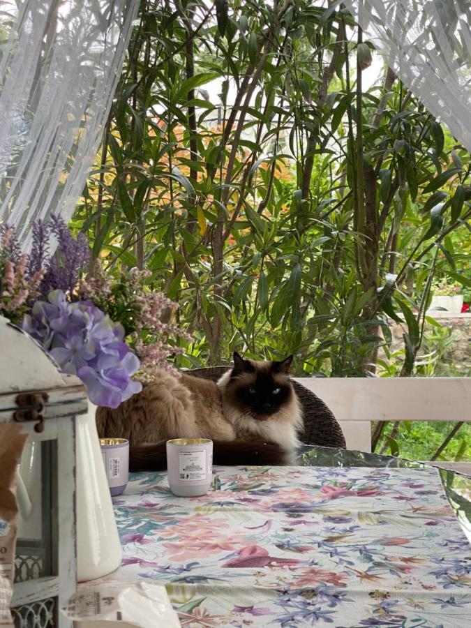B&B La Terrazza Pozzolengo Eksteriør bilde